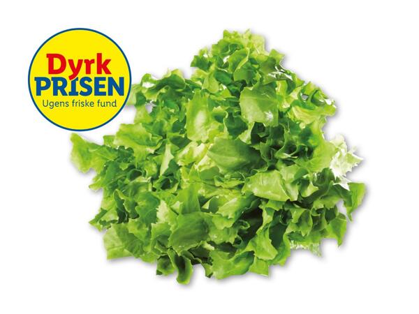 Crisp salat