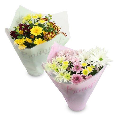 Chrysanthemen "Bouquet"*