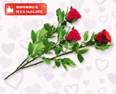 Rose di San Valentino