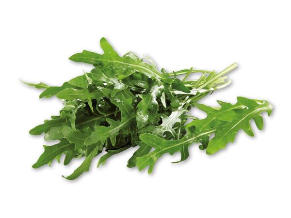 Rucola
