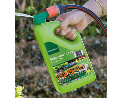Seaweed Spray Hose On 2 x 2L or Weed Kill Concentrate 2L