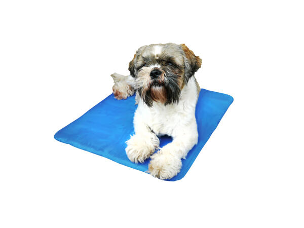 Chillax Cooling Pad Medium