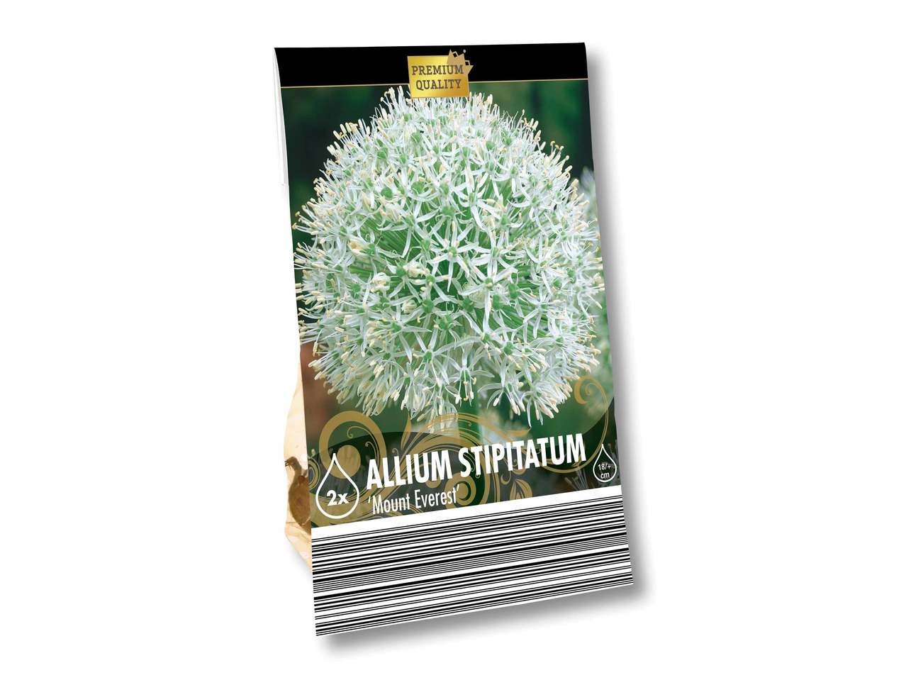 Blumenzwiebeln "Zierlauch"