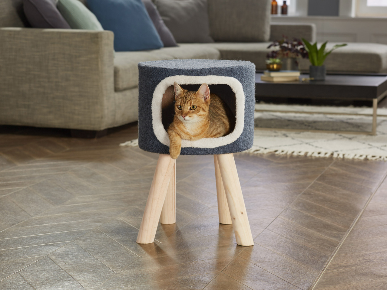 Cat Scratching Post / Cat Cave Bed