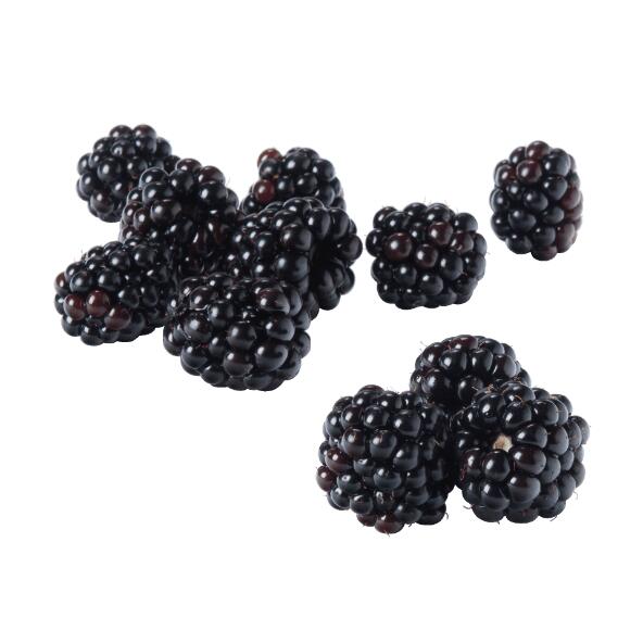 Brombeeren
