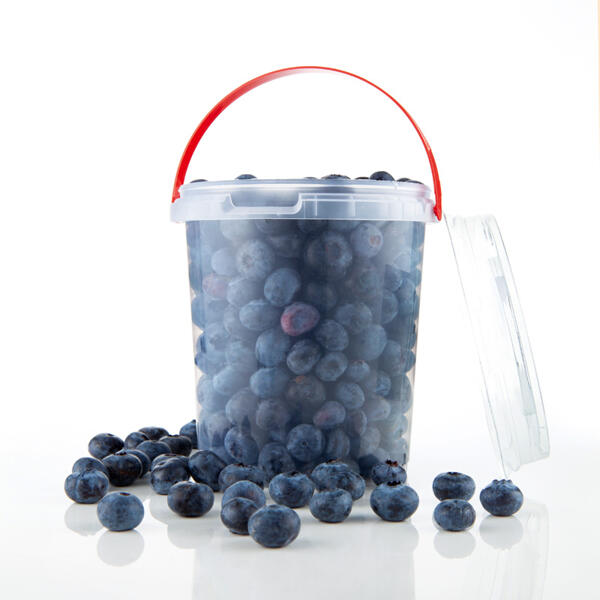 Premium Heidelbeeren