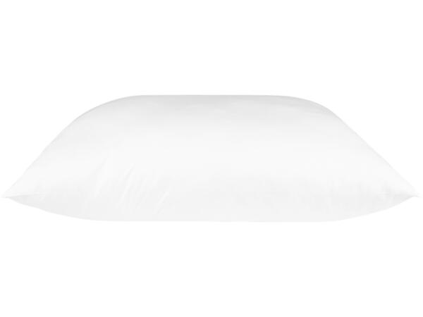 Anti-Mite Pillow