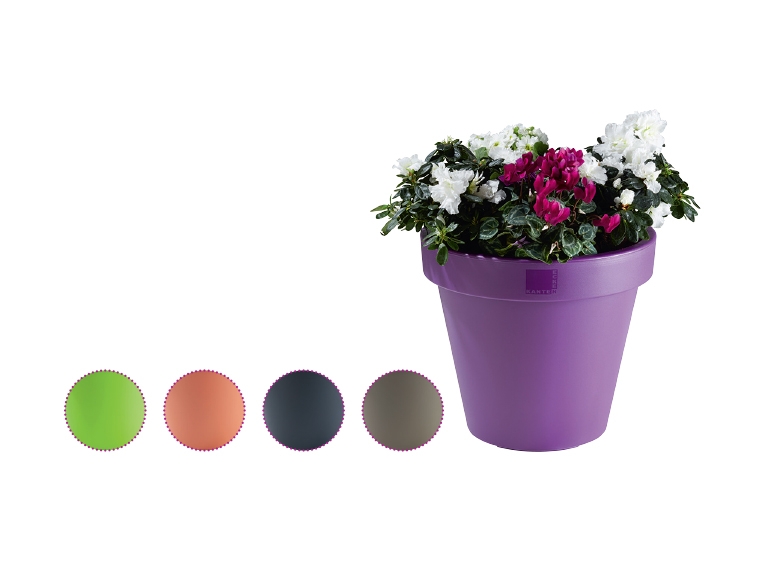 Bloempot