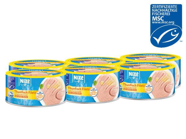 MSC Thunfisch