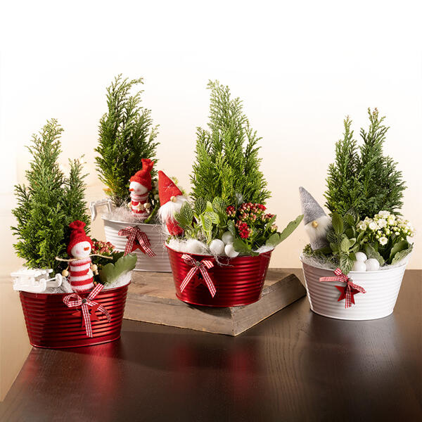 Weihnachtliches Arrangement