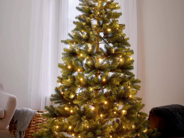 LED Christmas Lights
