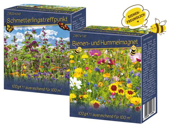 Blumensamenmischnung