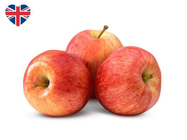 British Gala Apples