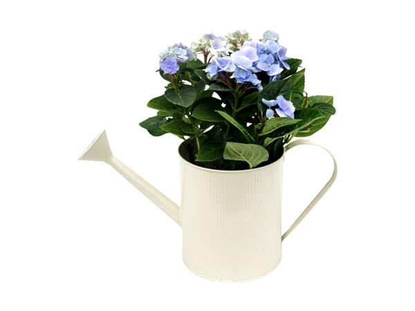 Hydrangea Watering Can