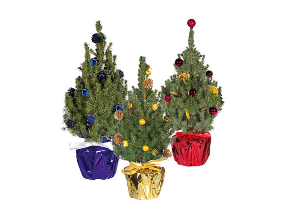 Mini Christmas Tree