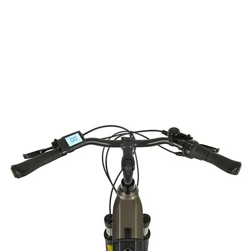 PROPHETE E-Bike Geniesser 3.3