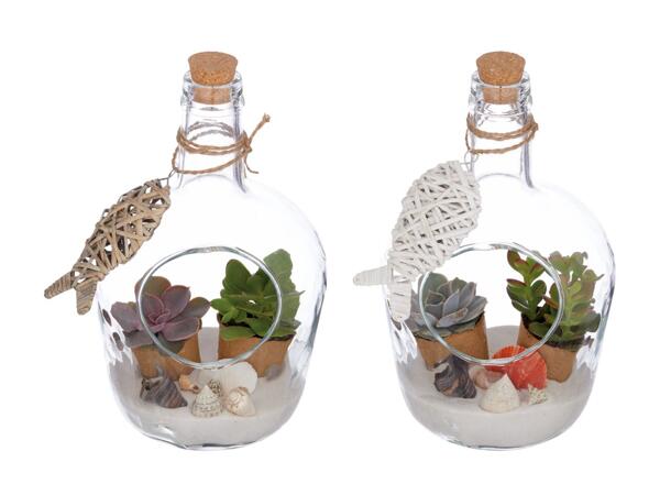 Succulentes dans une bouteille en verre