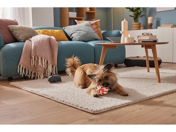Dog Toys