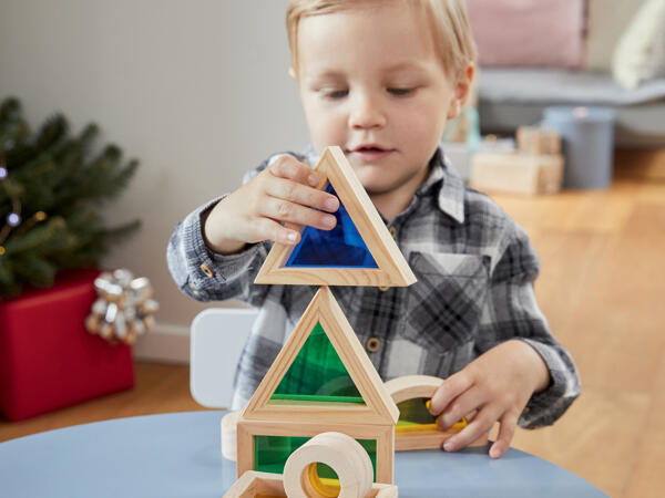 Wooden Educational Game "Montessori"