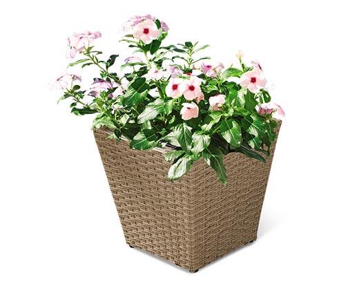 Belavi 
 Cube Rattan Planter