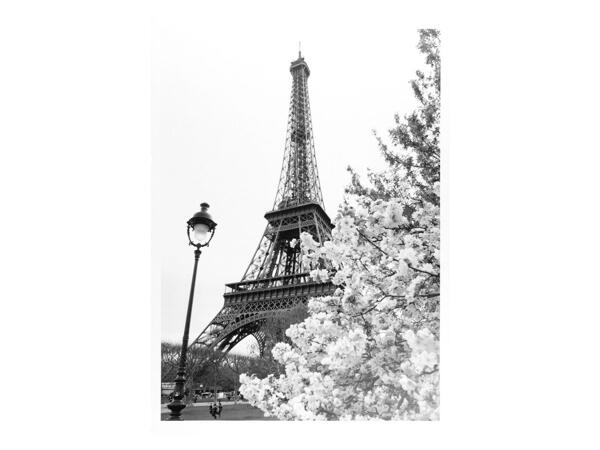 Poster 50 x 70cm "Emily in Paris"