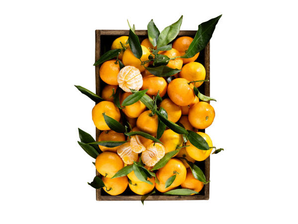 Satsumas