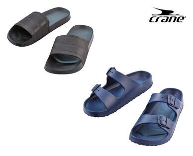 Adult's Slides