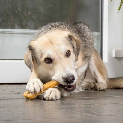 Kauknochen für Hunde