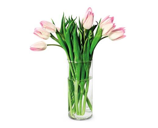 10-Stem Tulip Bouquet Assorted Colors