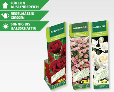 GARDENLINE(R) Rosen