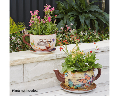 Teacup or Teapot Planter