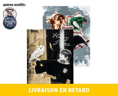 HARRY POTTER 
 COUVERTURE