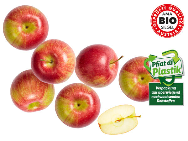 Bio Äpfel rot aus der Steiermark