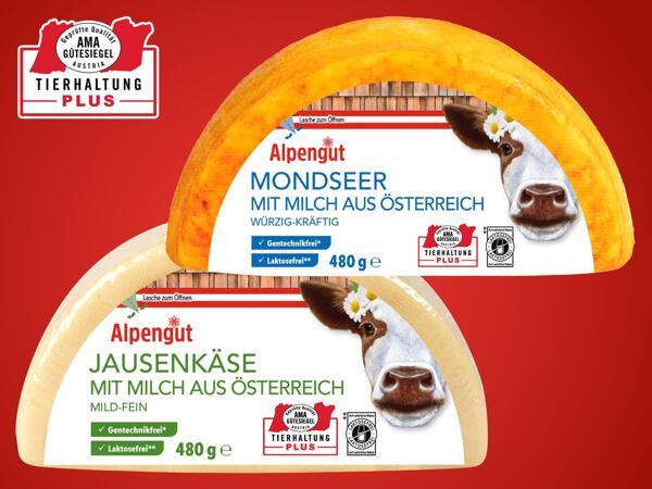 Mondsee oder Jausenkäse