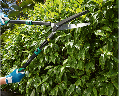 Telescopic Hedge Shears