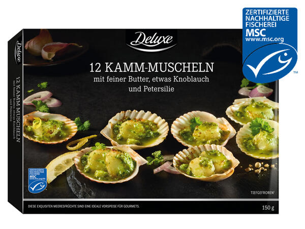 MSC Kamm-Muscheln