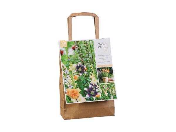 Sommerblomsterløg
