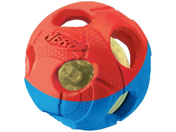 Nerf Dog Toy