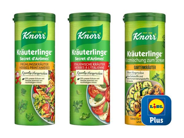 Insaporitori in polvere Knorr