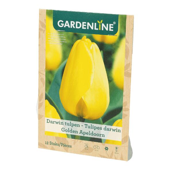 GARDENLINE(R) 				Bulbes à fleurs