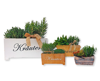 Cestini per erbe aromatiche