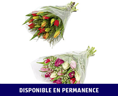 BOUQUET DE TULIPES MULTICOLORE