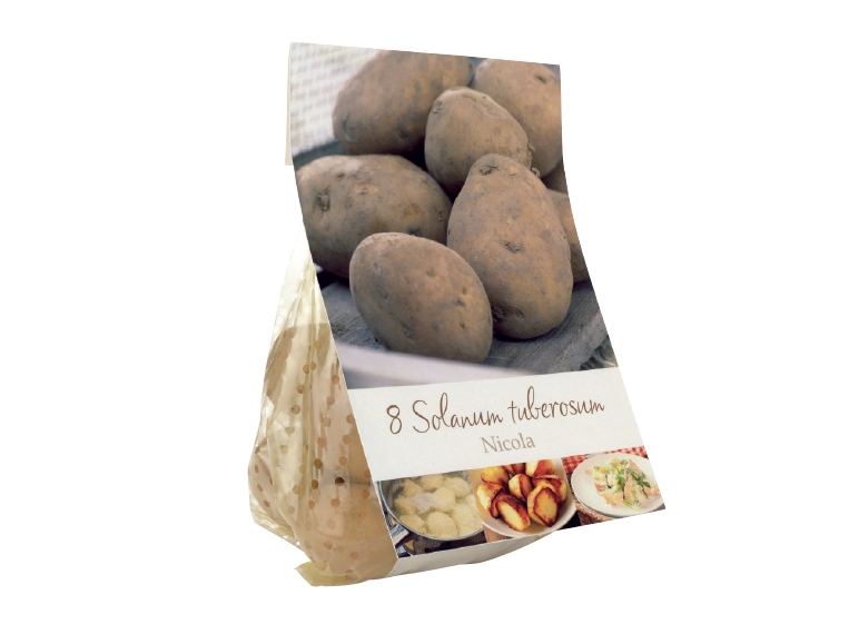Seed Potatoes