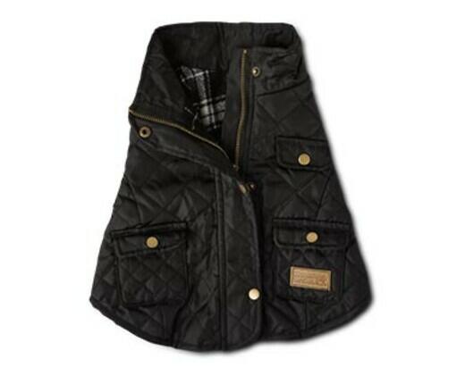 Heart to Tail 
 Pet Barn Coat