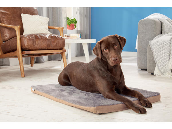 Pet Cushion