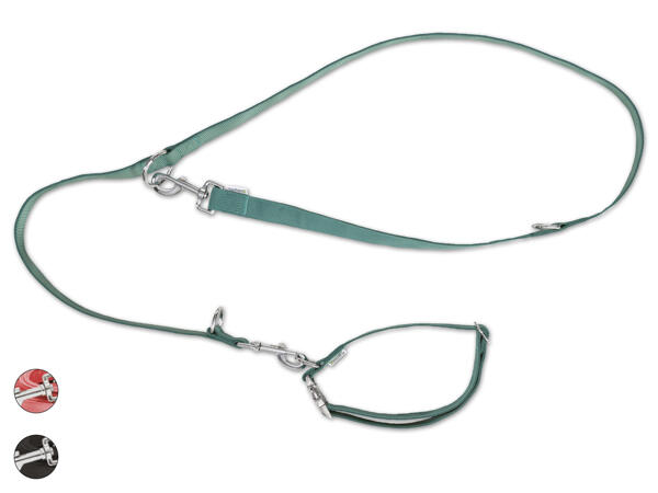 Hundehalsband/-leinen Set