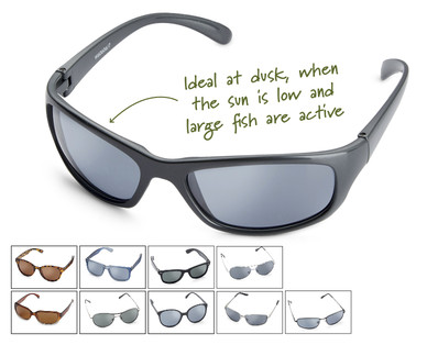 Polarised Sunglasses
