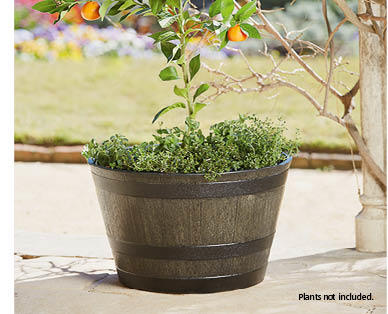 Whiskey Barrel Planter