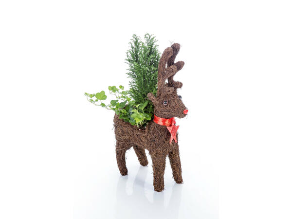 Décoration de Noël renne