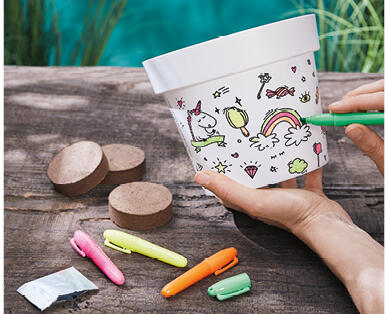 Colour and Grow Kit